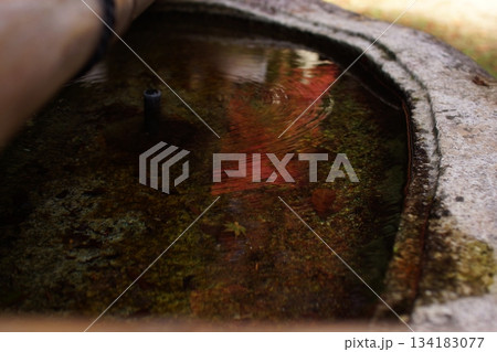 鳥取　四季の散歩　秋　智頭　諏訪神社 134183077