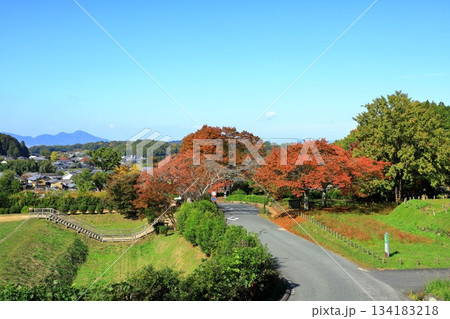 秋の国営飛鳥歴史公園 134183218