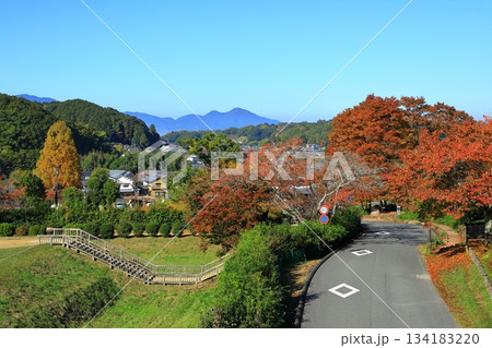 秋の国営飛鳥歴史公園 秋の国営飛鳥歴史公園 134183220