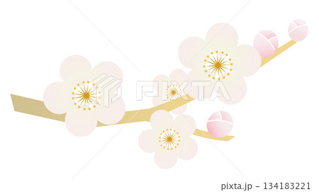 梅の花 134183221