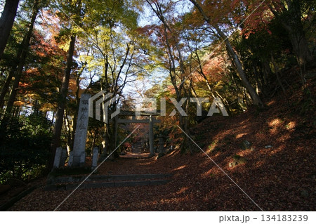 鳥取 四季の散歩 秋 智頭 諏訪神社 鳥取 四季の散歩 秋 智頭 諏訪神社 134183239