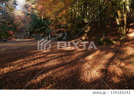 鳥取 四季の散歩 秋 智頭 諏訪神社 鳥取 四季の散歩 秋 智頭 諏訪神社 134183241