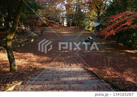 鳥取 四季の散歩 秋 智頭 諏訪神社 鳥取 四季の散歩 秋 智頭 諏訪神社 134183267