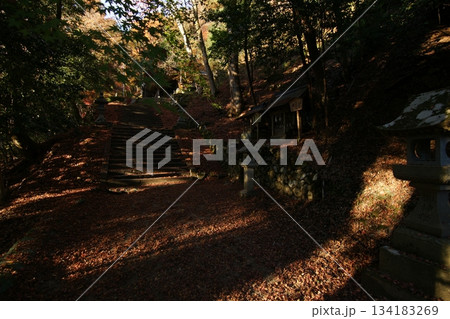 鳥取　四季の散歩　秋　智頭　諏訪神社 134183269