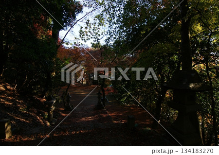 鳥取 四季の散歩 秋 智頭 諏訪神社 鳥取 四季の散歩 秋 智頭 諏訪神社 134183270