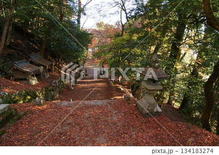 鳥取 四季の散歩 秋 智頭 諏訪神社 鳥取 四季の散歩 秋 智頭 諏訪神社 134183274