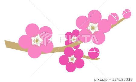 梅の花 134183339