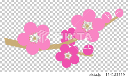 梅の花 134183339