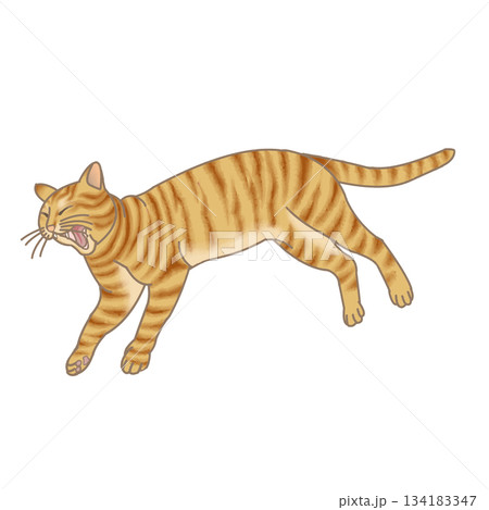 あくび猫 134183347