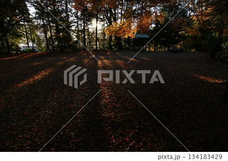 鳥取 四季の散歩 秋 智頭 諏訪神社 鳥取 四季の散歩 秋 智頭 諏訪神社 134183429