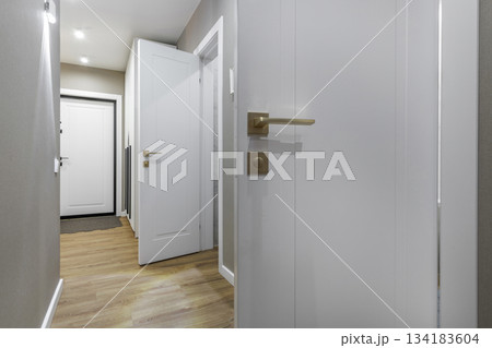 Modern Apartment Hallway with White Doors and Wooden Floor 134183604