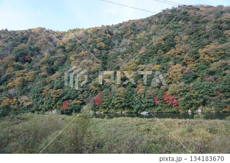 秋の鳥取　奥大山の紅葉風景 134183670