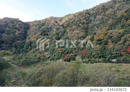 秋の鳥取　奥大山の紅葉風景 134183672