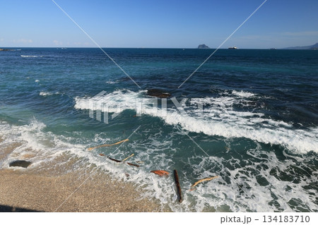 海岸 134183710