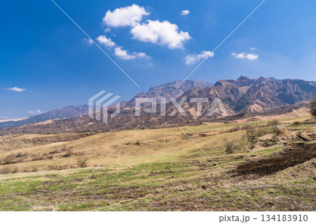 《熊本県》阿蘇の草原の風景 134183910