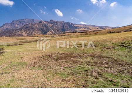 《熊本県》阿蘇の草原の風景 134183913