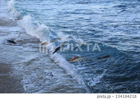 流木 流木 134184218