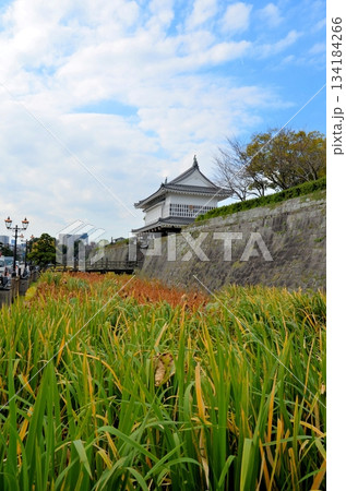 鹿児島城 御楼門 鹿児島城 御楼門 134184266