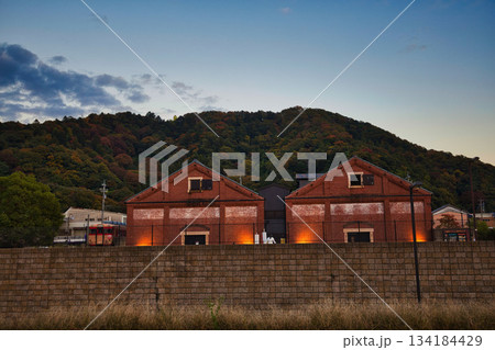 敦賀金ケ崎緑地の夕暮れ 134184429