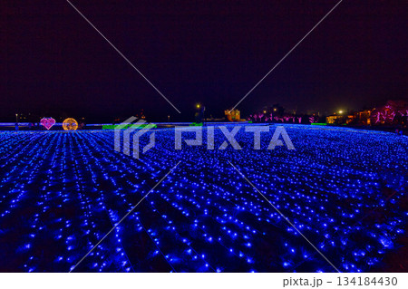 敦賀金ケ崎緑地の夕暮れ 134184430