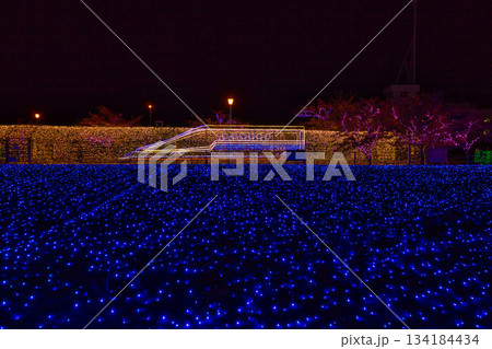 敦賀金ケ崎緑地の夕暮れ 134184434