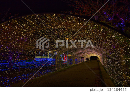 敦賀金ケ崎緑地の夕暮れ 敦賀金ケ崎緑地の夕暮れ 134184435