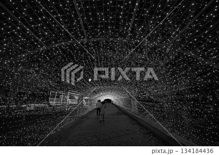 敦賀金ケ崎緑地の夕暮れ 敦賀金ケ崎緑地の夕暮れ 134184436