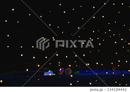 敦賀金ケ崎緑地の夕暮れ 敦賀金ケ崎緑地の夕暮れ 134184442
