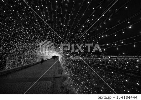 敦賀金ケ崎緑地の夕暮れ 134184444