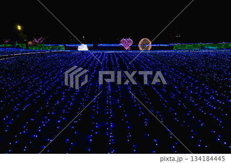 敦賀金ケ崎緑地の夕暮れ 敦賀金ケ崎緑地の夕暮れ 134184445