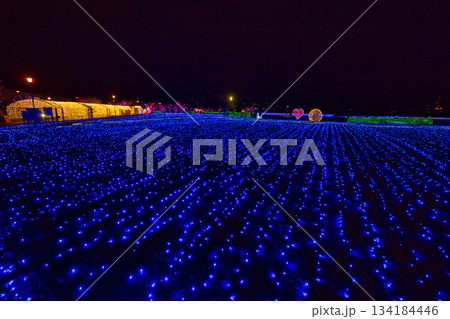 敦賀金ケ崎緑地の夕暮れ 134184446