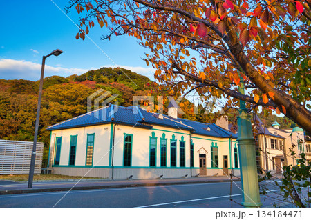 敦賀金ケ崎緑地の夕暮れ 134184471