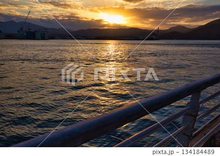 敦賀金ケ崎緑地の夕暮れ 134184489