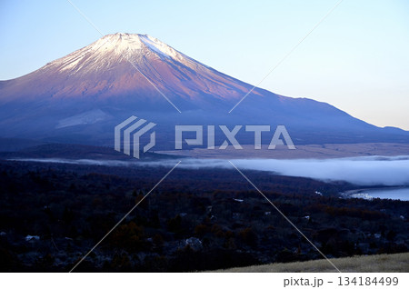 11月、富士の夜明け (撮影地:山中湖村、明神山パノラマ付近) 11月、富士の夜明け (撮影地:山中湖村、明神山パノラマ付近) 134184499