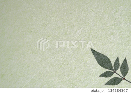和紙とナンテンの葉のコラボ【背景素材】 134184567