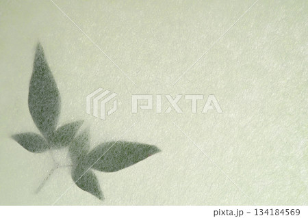 和紙とナンテンの葉のコラボ【背景素材】 和紙とナンテンの葉のコラボ【背景素材】 134184569