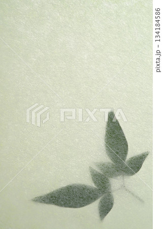 和紙とナンテンの葉のコラボ【背景素材】 134184586