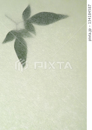 和紙とナンテンの葉のコラボ【背景素材】 和紙とナンテンの葉のコラボ【背景素材】 134184587