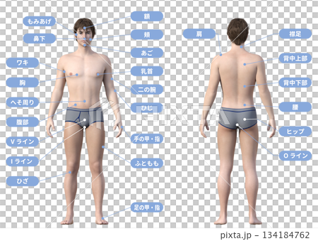 除毛,男士美容院,男士除毛治療區域的3D插圖,全身,正面,背面視圖 除毛,男士美容院,男士除毛治療區域的3D插圖,全身,正面,背面視圖 134184762