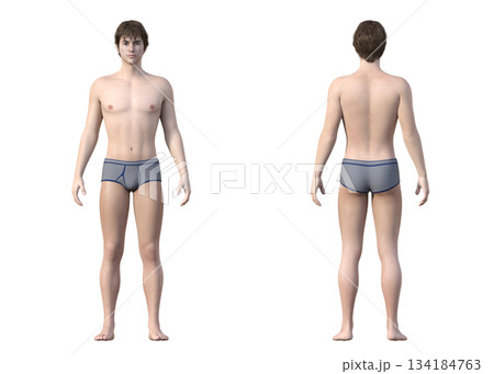 下着姿の若い男性の全身正面と後ろ姿の3Dイラストセット 134184763