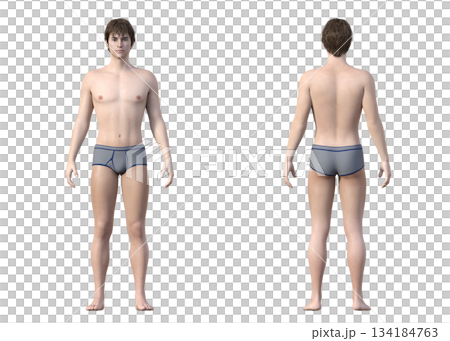 下着姿の若い男性の全身正面と後ろ姿の3Dイラストセット 134184763