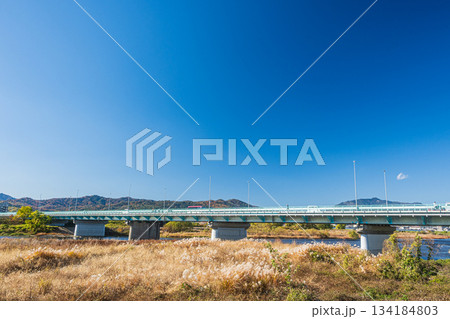 桂川に架かる道路橋　西大橋　京都市 134184803