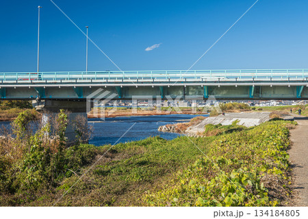 桂川に架かる道路橋　西大橋　京都市 134184805