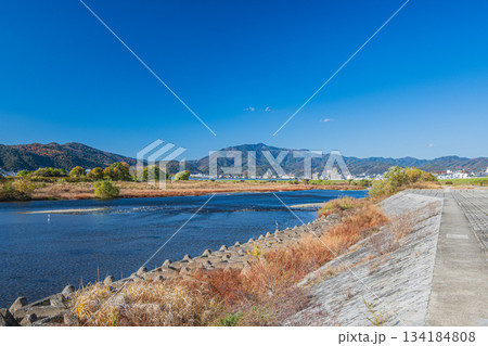 初冬の桂川風景　京都市 134184808