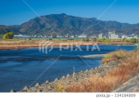 初冬の桂川風景 京都市 初冬の桂川風景 京都市 134184809