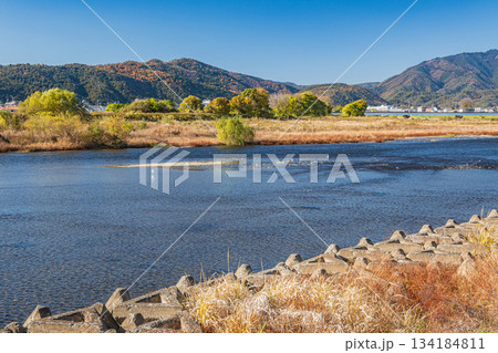 初冬の桂川風景　京都市 134184811