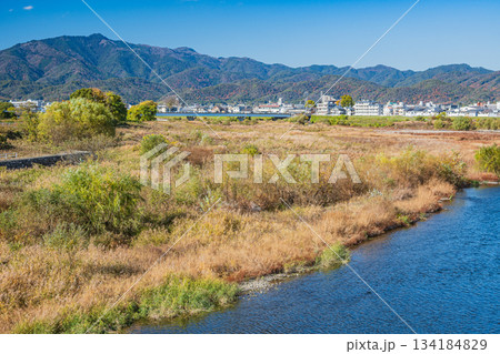 初冬の桂川風景　京都市 134184829