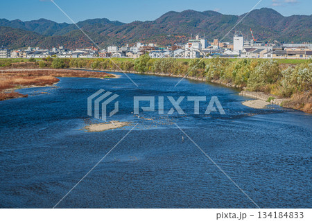 初冬の桂川風景　京都市 134184833