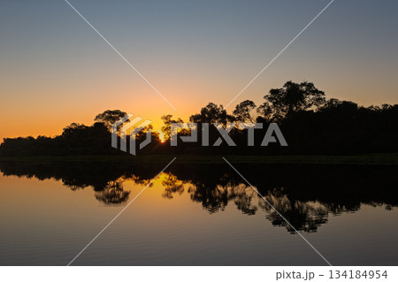 Breathtaking landscape of the North Pantanal at dusk, Pocone, Mato Grosso, Brazil. Brazilian nature and wilderness. 134184954