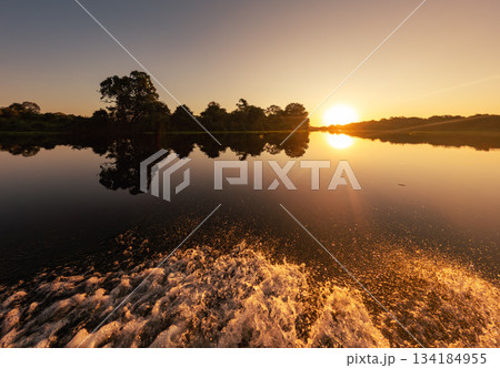 Breathtaking landscape of the North Pantanal at dusk, Pocone, Mato Grosso, Brazil. Brazilian nature and wilderness. 134184955